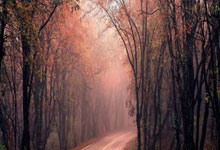 未能通过准入，中超八冠王广州队告别职业联赛中国新闻网.