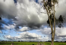 未能通过准入，中超八冠王广州队告别职业联赛中国新闻网.