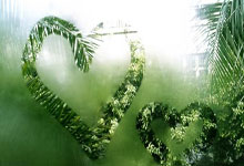 未能通过准入，中超八冠王广州队告别职业联赛中国新闻网.