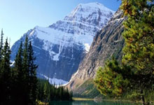 未能通过准入，中超八冠王广州队告别职业联赛中国新闻网.