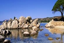 未能通过准入,中超八冠王广州队告别职业联赛中国新闻网.